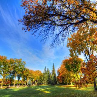 Blue autumn wallpaper