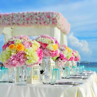 Wedding reception wallpaper
