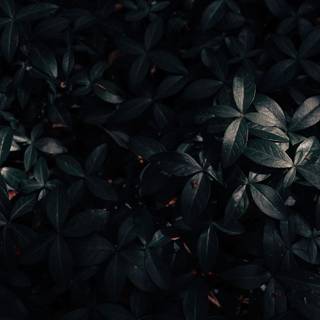 1366x768 black wallpaper
