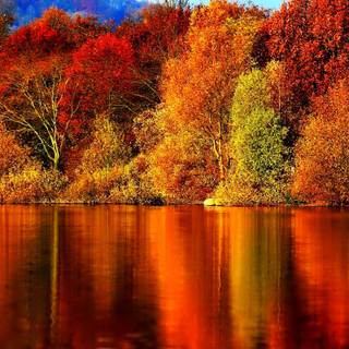 Pretty autumn wallpaper