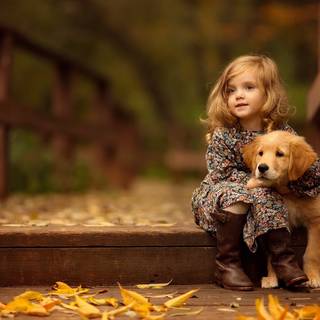 Autumn puppy wallpaper