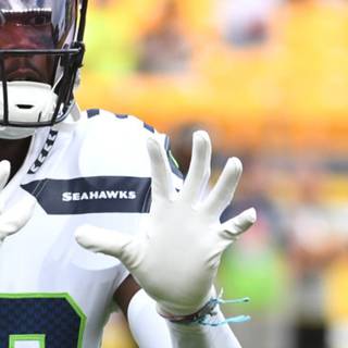 Tariq Woolen wallpaper