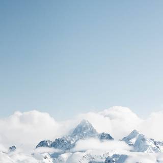 Vintage blue wallpaper