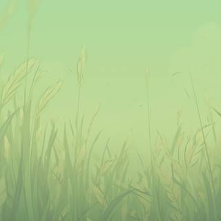 Phone grass wallpaper
