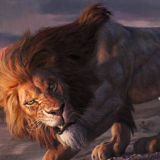 Phone lion wallpaper