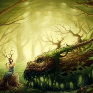 World of Warcraft Druid wallpaper