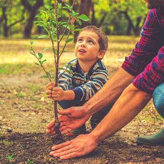 Helping others wallpaper