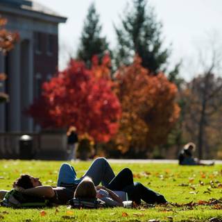 Helping others wallpaper