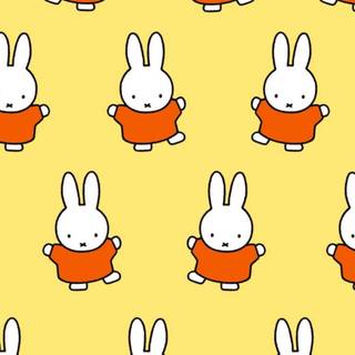 Miffy iPhone wallpaper
