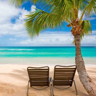 Summer beach chairs wallpaper