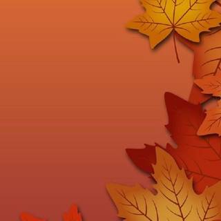 iPhone 13 autumn wallpaper