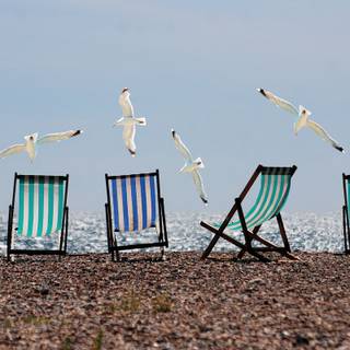 Summer beach chairs wallpaper