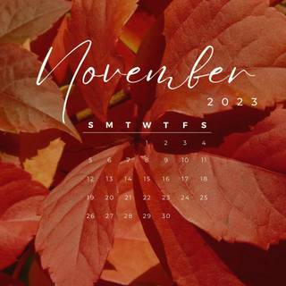 Orange fall wallpaper