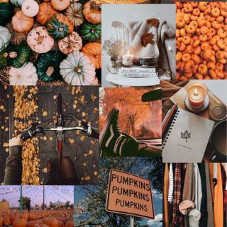 Collage Thanksgiving wallpaper