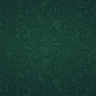 iPhone 13 Pro green wallpaper