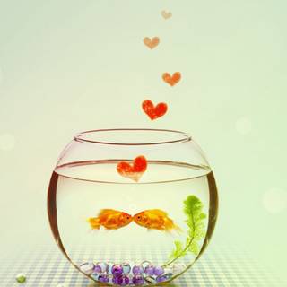 iPhone X love wallpaper