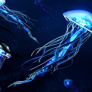 Jellyfish 4k wallpaper
