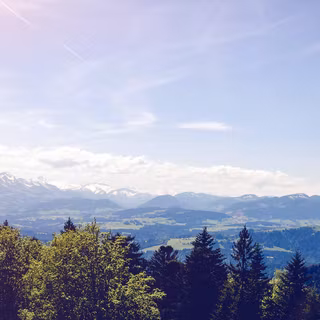 Blue summer nature wallpaper