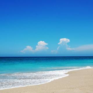 Blue summer nature wallpaper