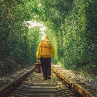 Summer railroad wallpaper