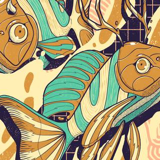 Fish drawing wallpaper