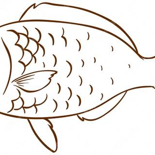 Fish drawing wallpaper