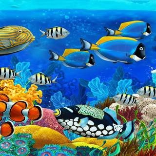 Fish drawing wallpaper