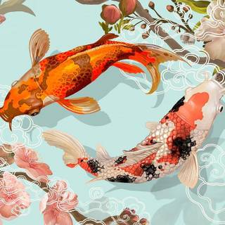 Fish drawing wallpaper