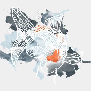 Fish drawing wallpaper