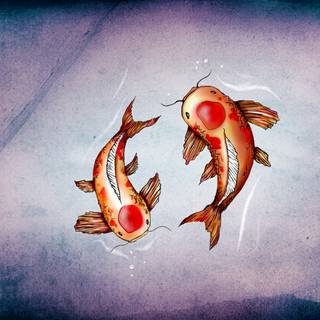 Fish drawing wallpaper