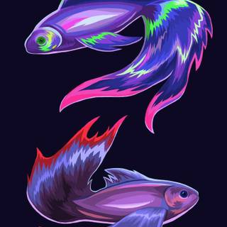 Fish drawing wallpaper