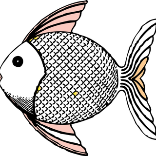 Fish drawing wallpaper