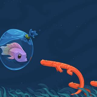 Fish drawing wallpaper