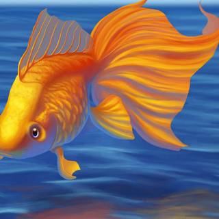 Fish drawing wallpaper