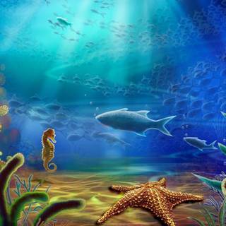 Fish drawing wallpaper