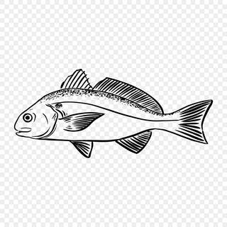 Fish drawing wallpaper