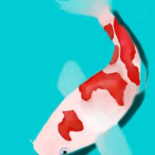 Fish drawing wallpaper