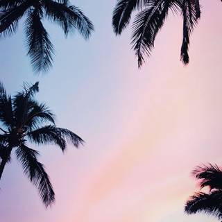 Preppy phone summer wallpaper