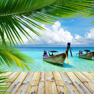 Summer beach palm wallpaper
