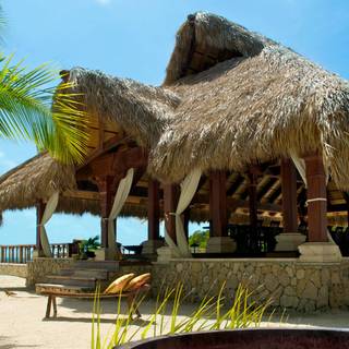 Summer beach palm wallpaper