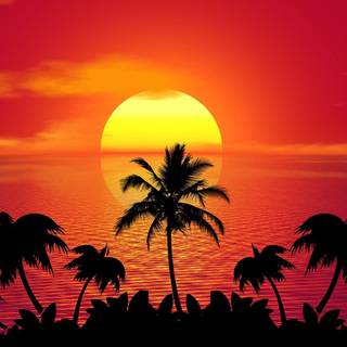 Summer beach palm wallpaper