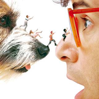 Honey, I Shrunk the Kids wallpaper
