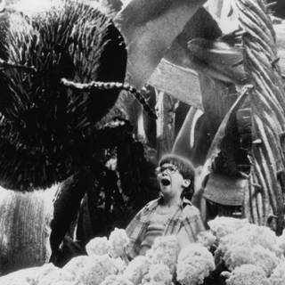 Honey, I Shrunk the Kids wallpaper