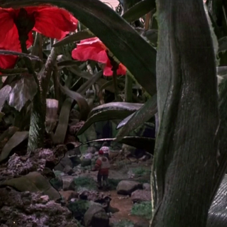 Honey, I Shrunk the Kids wallpaper