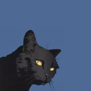 Mobile cat HD wallpaper