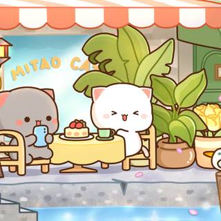 Summer cat aesthetic wallpaper