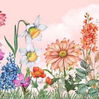 Summer flower field wallpaper