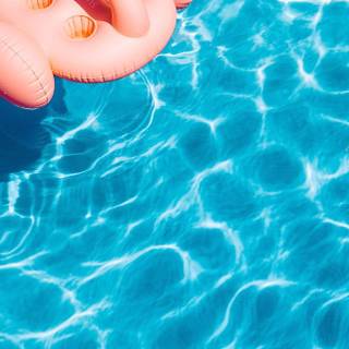 Summertime swimming wallpaper