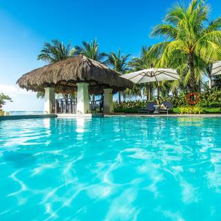 Summertime swimming wallpaper