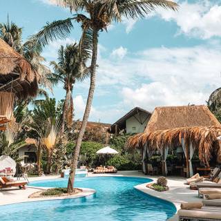 Summertime swimming wallpaper